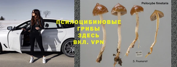 спайс Алексин