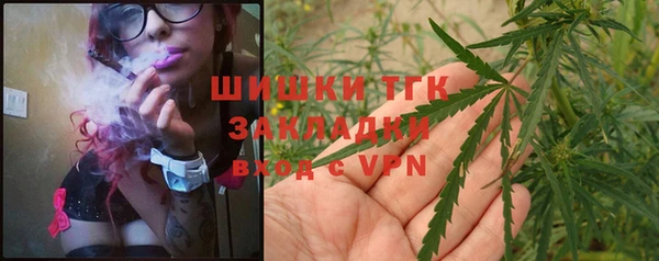 спайс Алексин