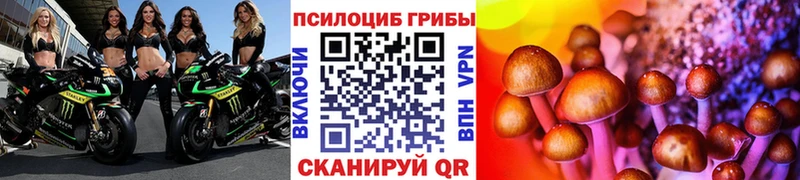 купить наркотик  Алексин  Псилоцибиновые грибы мицелий 